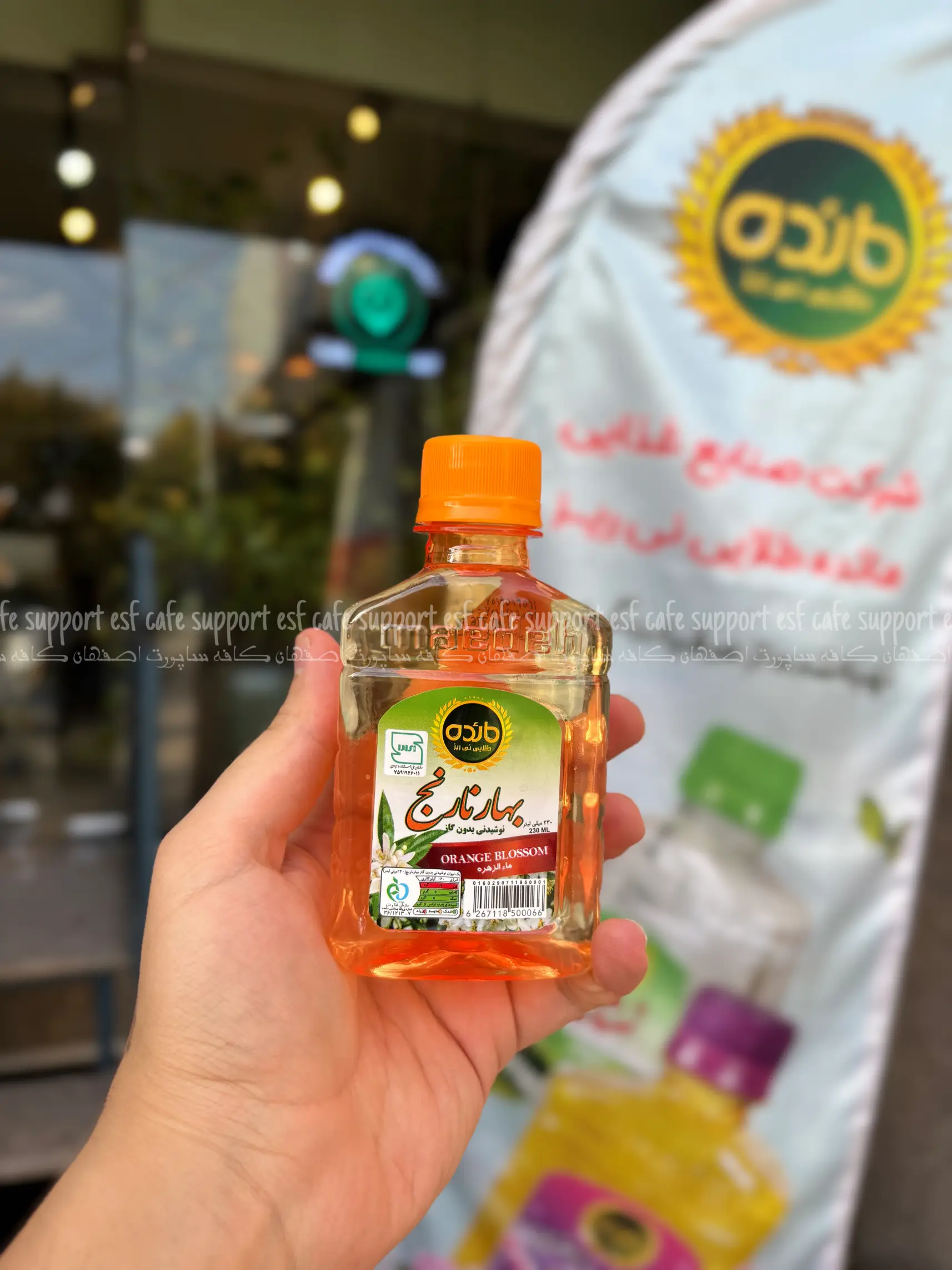 نوشیدنی عرقیات مائده طلایی نیریز بهارنارنج شیرینگ 24 عددی