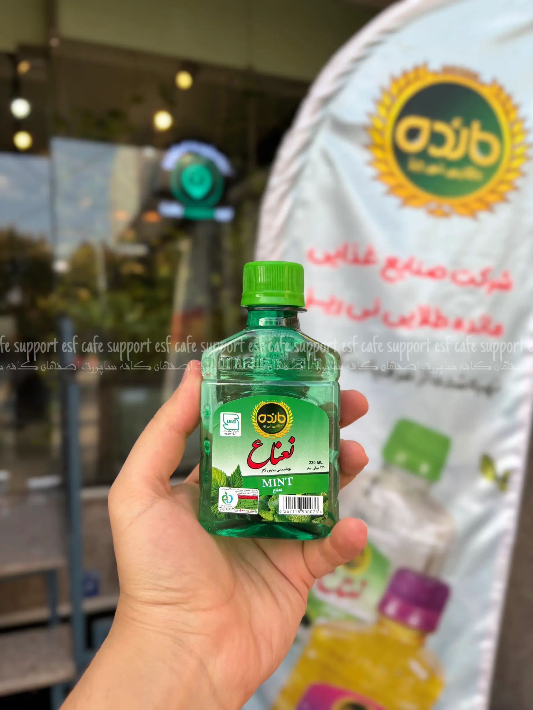 نوشیدنی عرقیات مائده طلایی نیریز نعناع شیرینگ 24 عددی