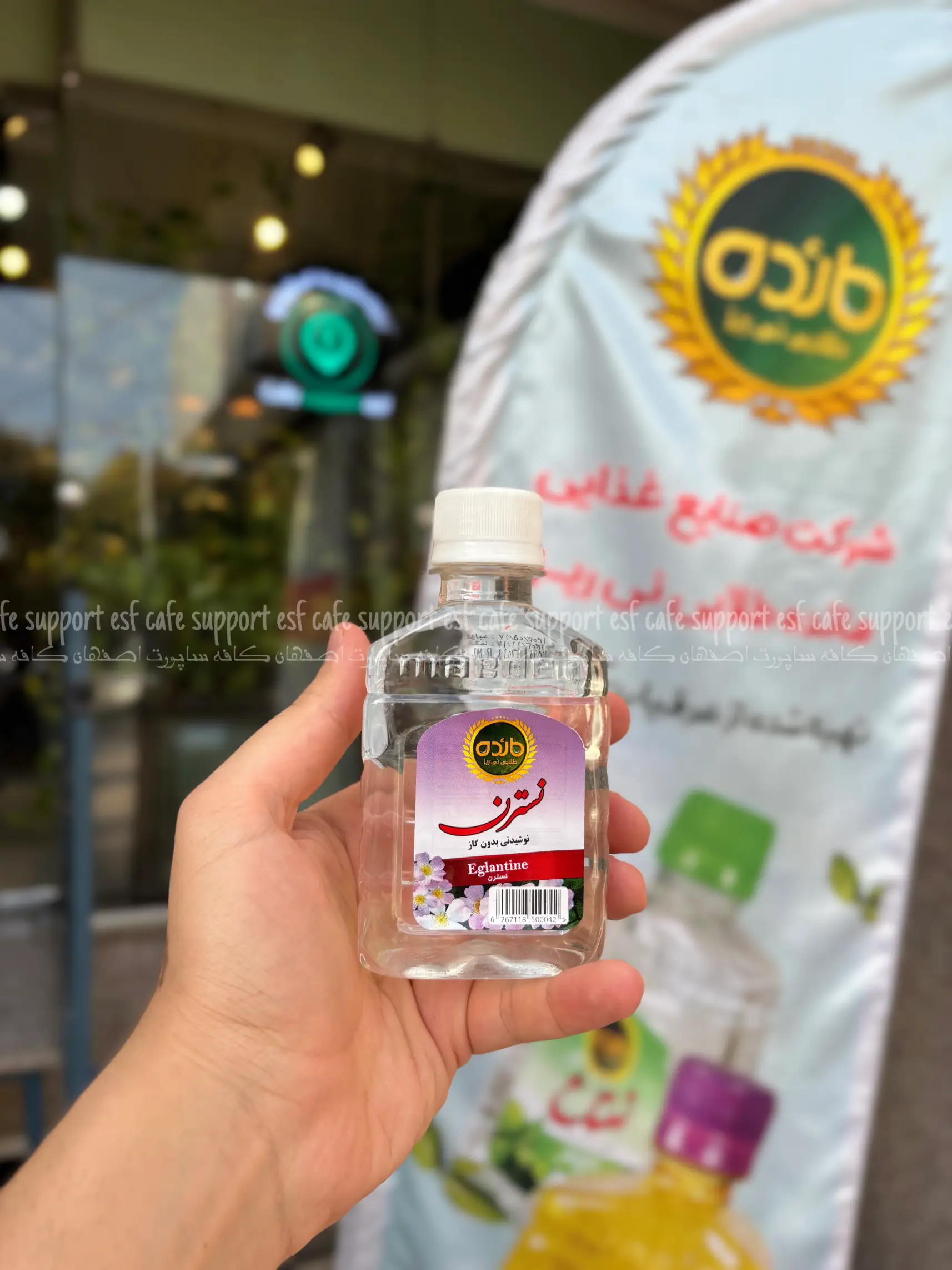 نوشیدنی عرقیات مائده طلایی نیریز نسترن شیرینگ 24 عددی