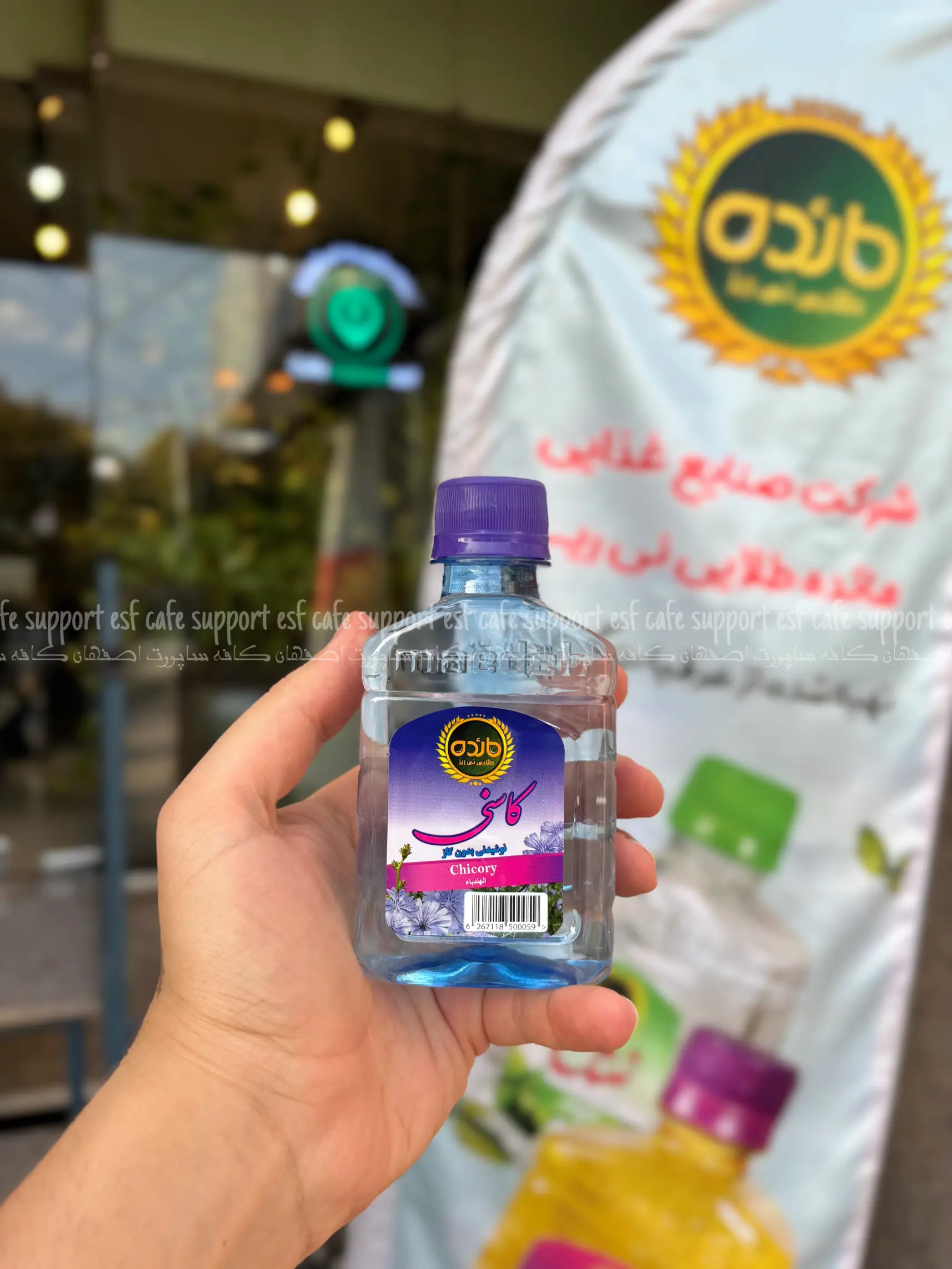 نوشیدنی عرقیات مائده طلایی نیریز کاسنی شیرینگ 24 عددی